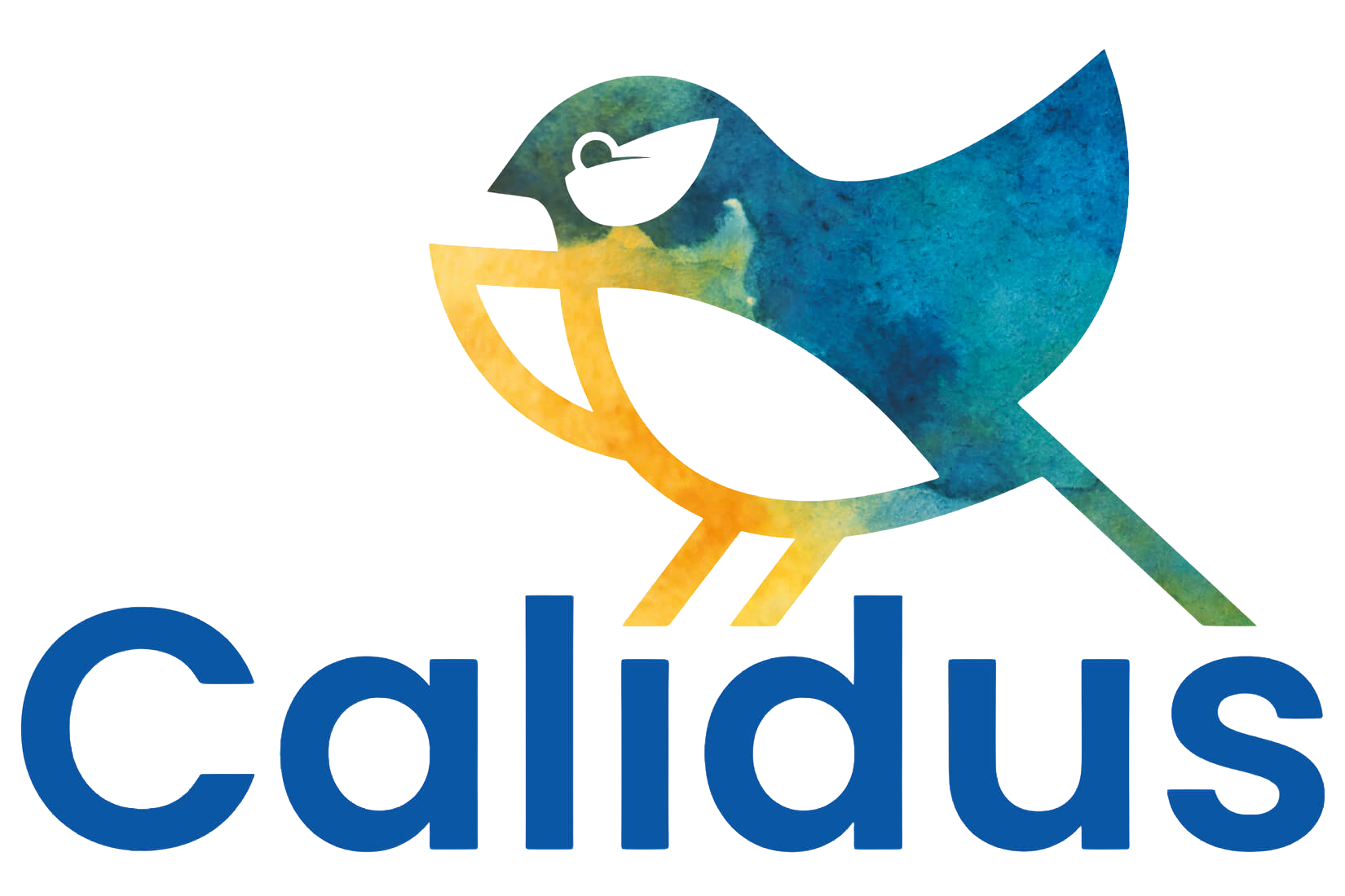 How Calidus gained control over healthcare recruitment 